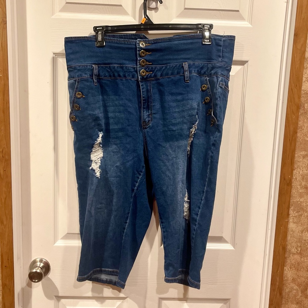 Awesome Ashley Steward High Waisted Capris